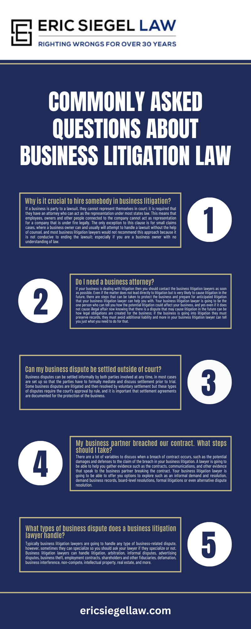 Commonly Asked Questions About Business Litigation Law Infographic