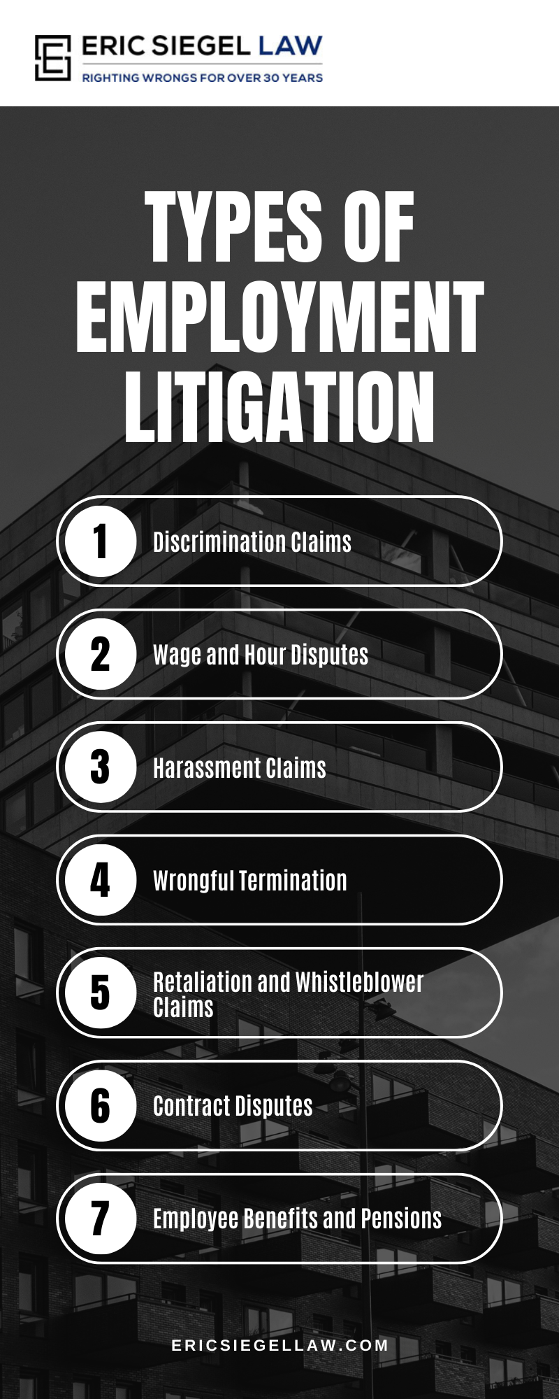 Types Of Employment Litigation Infographic